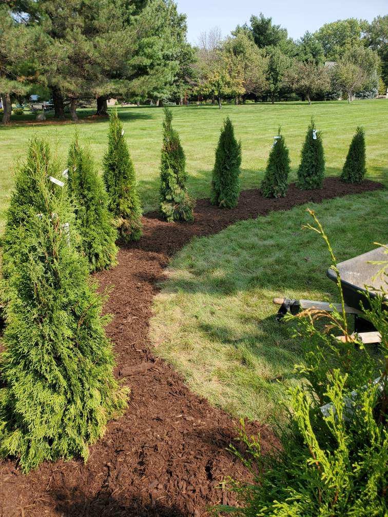 Bare Roots Landscaping