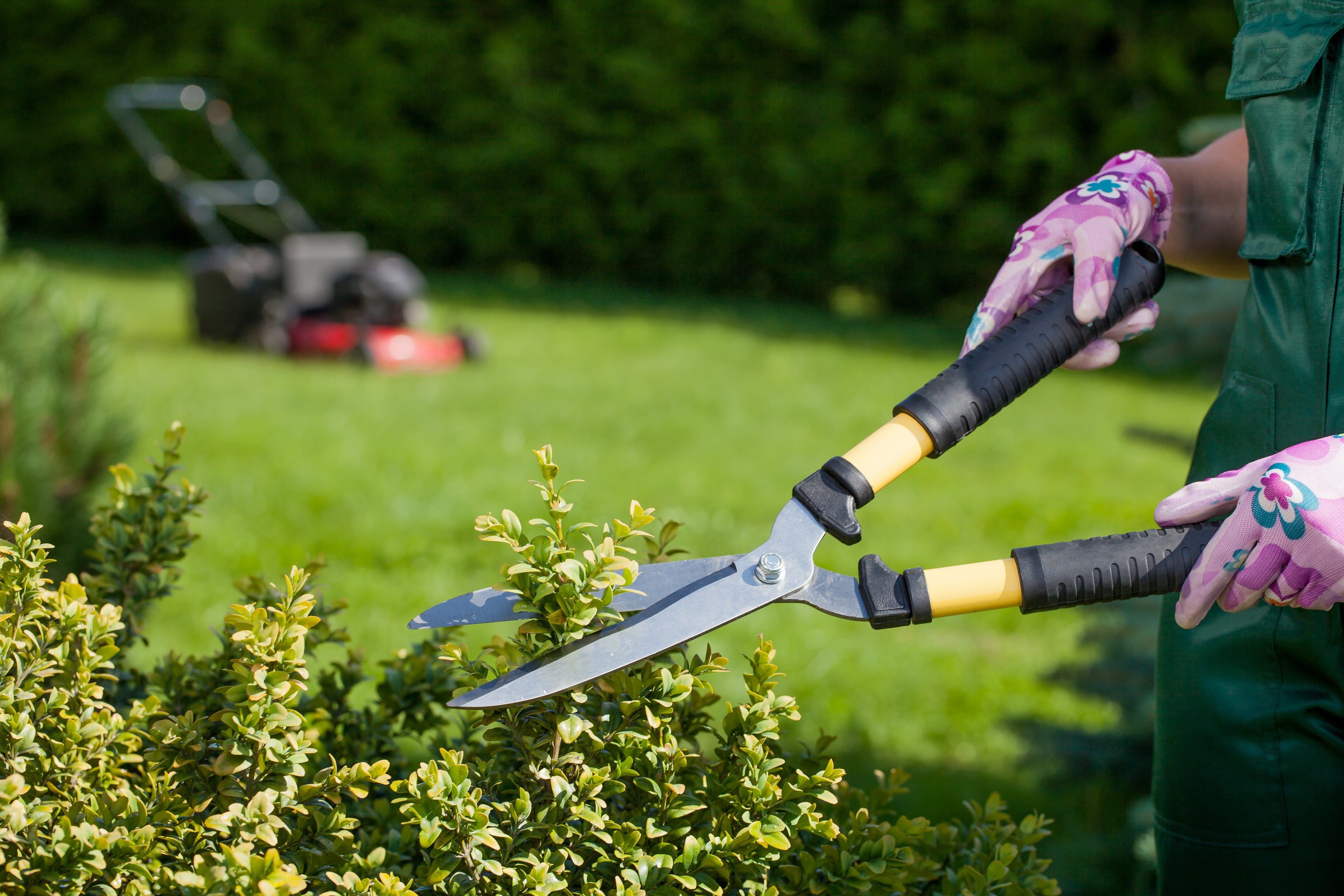 Bare Roots Landscaping