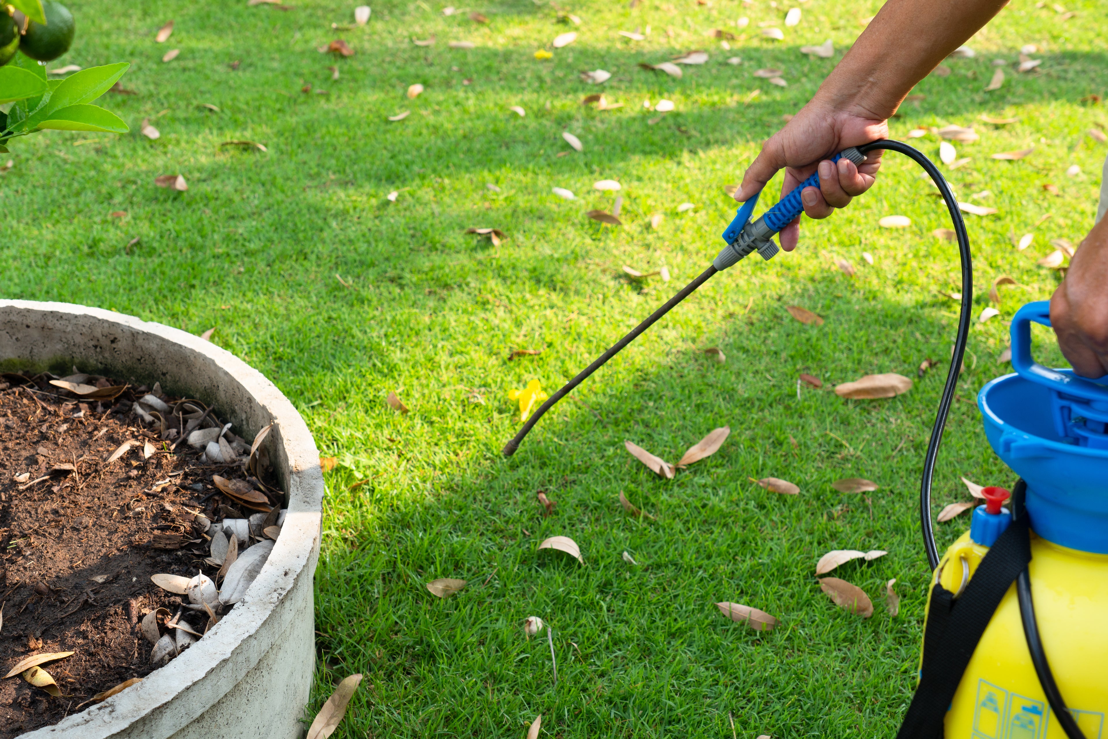 Bare Roots Landscaping